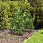 2 Pieces Foldable A-Frame Trellis Plant Supports with Twist Ties